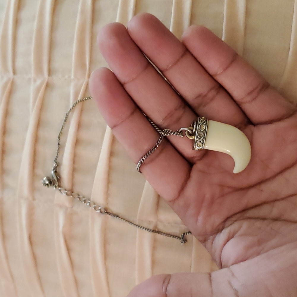 Animal Tooth Chain - Picture 5 of 5